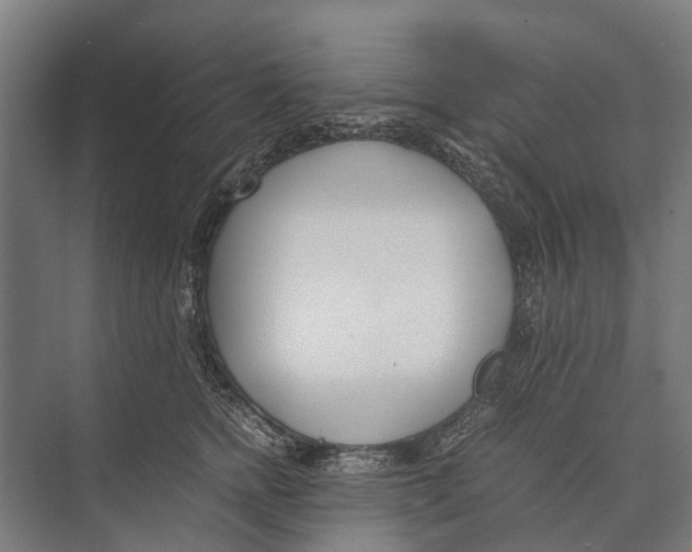 X0000071950758200608041553