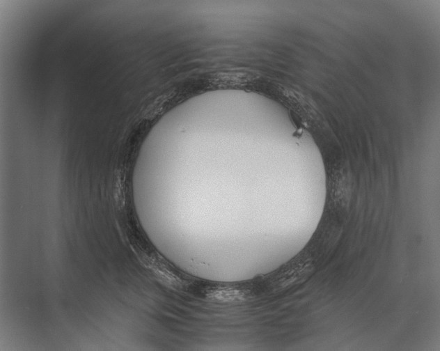 X0000071950759200608041553