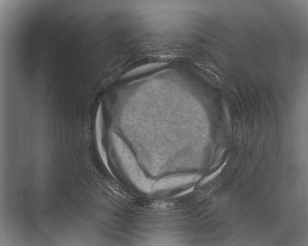 X0000071950760200608041553