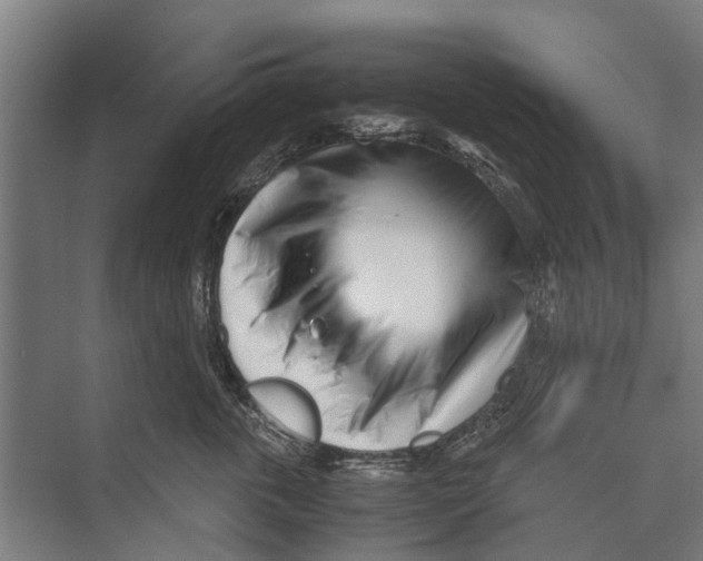 X0000071950763200608041553