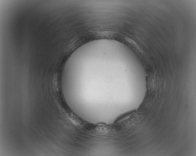 X0000071950764200608041553