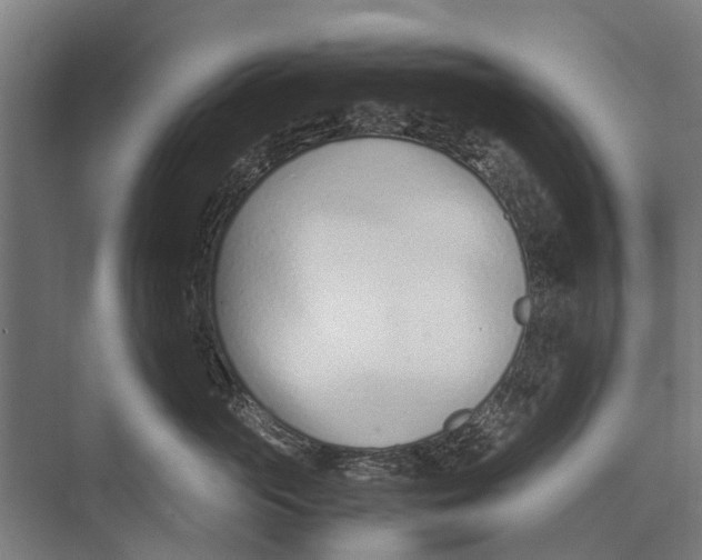 X0000071950765200608041553