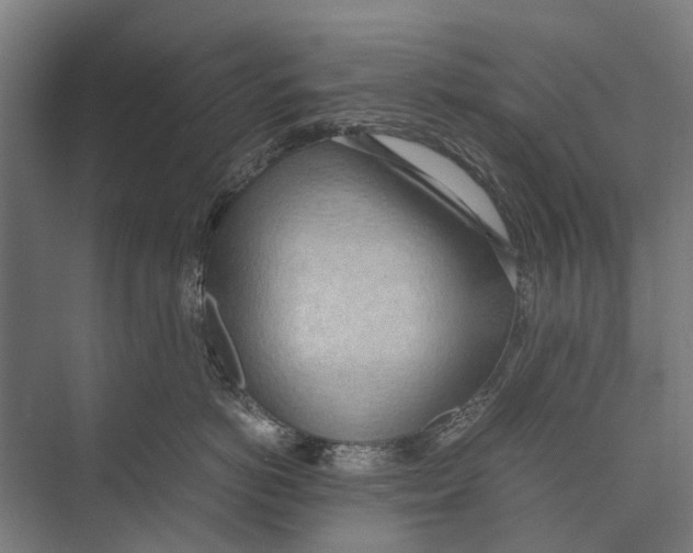 X0000071950766200608041553