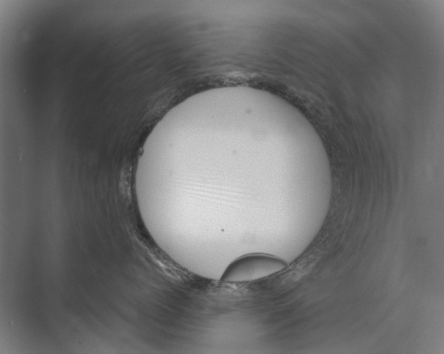 X0000071950768200608041553