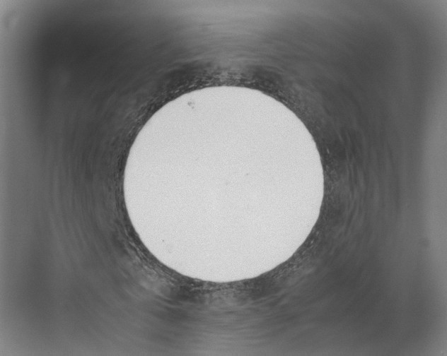 X0000071950769200608041552