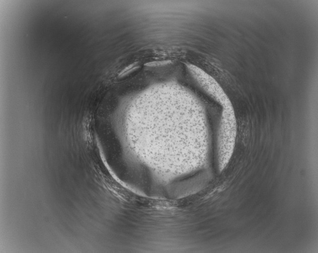 X0000071950770200608041552