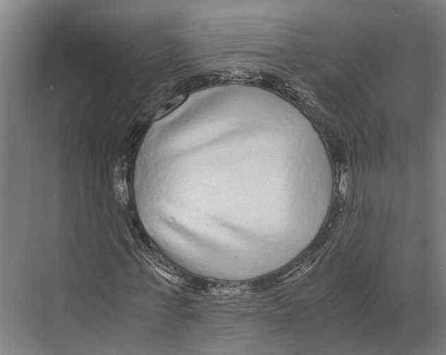 X0000071950771200608041552