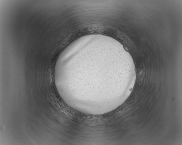 X0000071950772200608041552