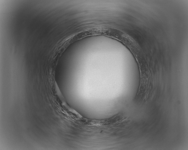 X0000071950773200608041552