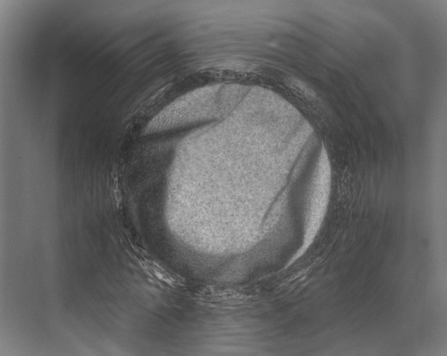 X0000071950774200608041552