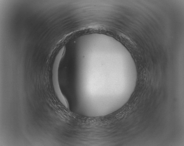 X0000071950776200608041552