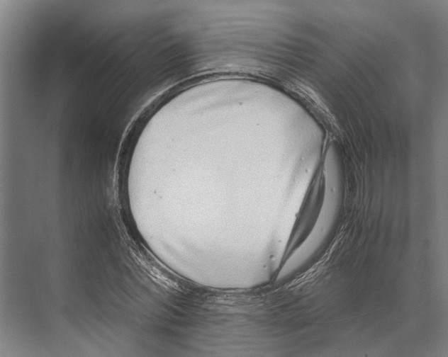 X0000071950780200608041552