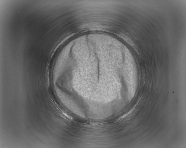 X0000071950782200608041552