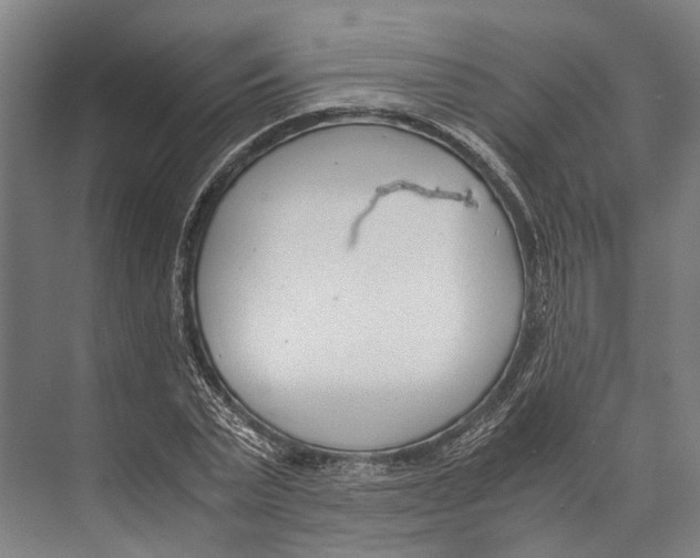 X0000071950783200608041552