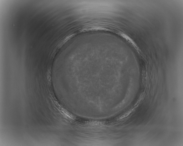 X0000071950785200608041552