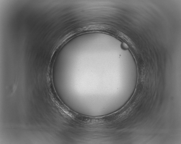 X0000071950786200608041552