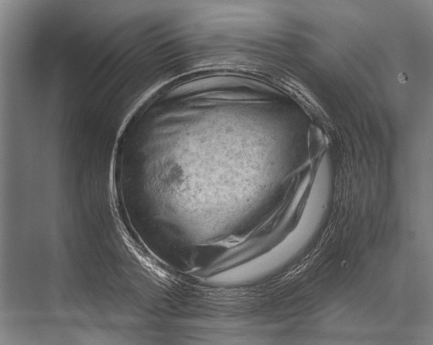 X0000071950788200608041552