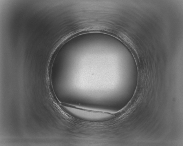 X0000071950789200608041552