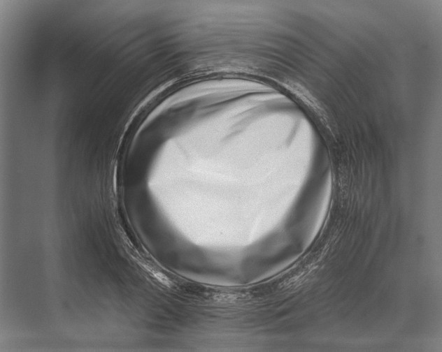 X0000071950790200608041552