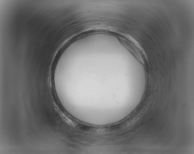 X0000071950791200608041552