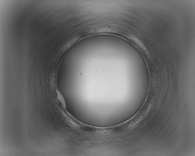 X0000071950793200608041552