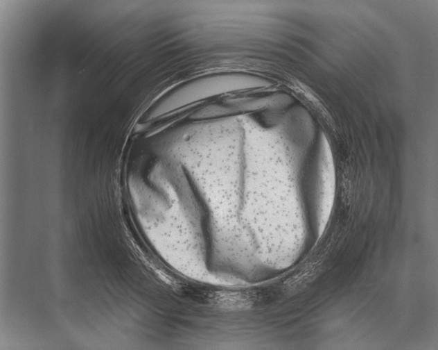 X0000071950794200608041552