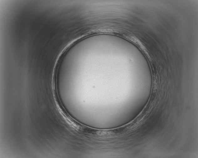 X0000071950795200608041552