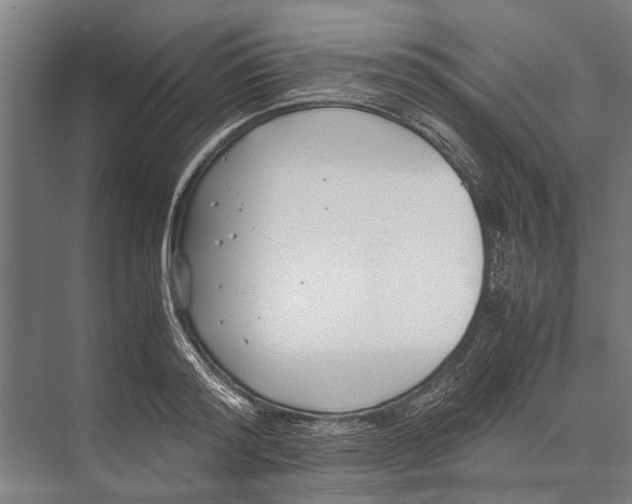 X0000071950796200608041552