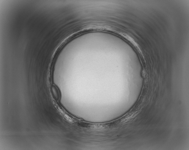 X0000071950799200608041552