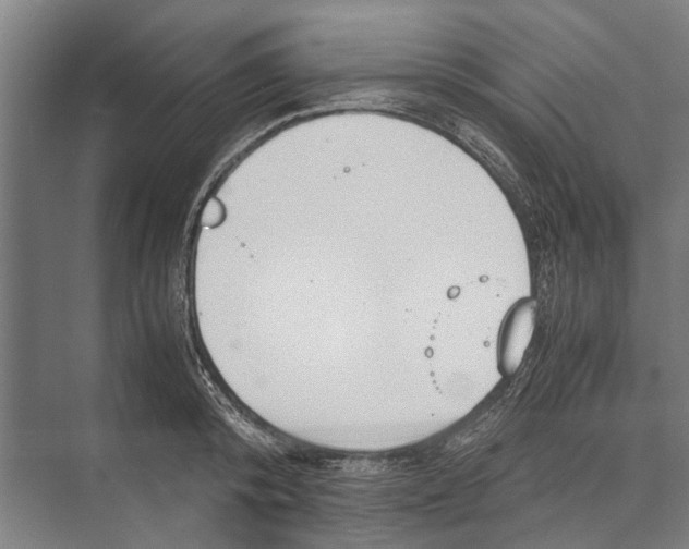 X0000071950800200608041552