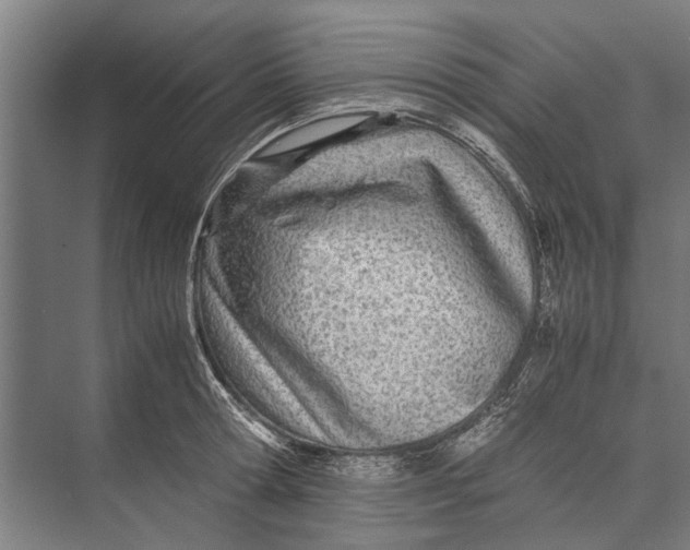 X0000071950802200608041552