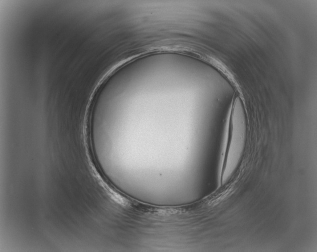 X0000071950803200608041552