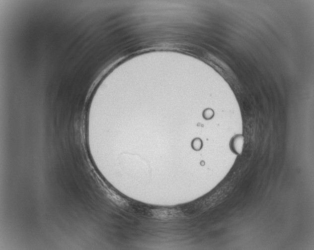 X0000071950804200608041552