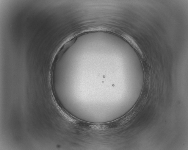 X0000071950805200608041552