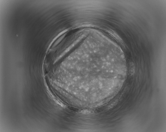 X0000071950806200608041552