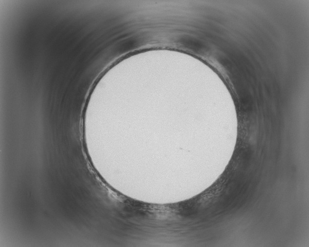 X0000071950807200608041552