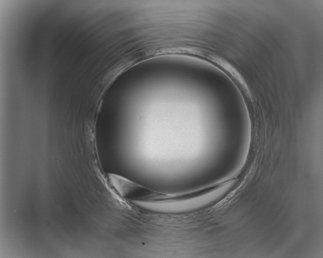 X0000071950809200608041551