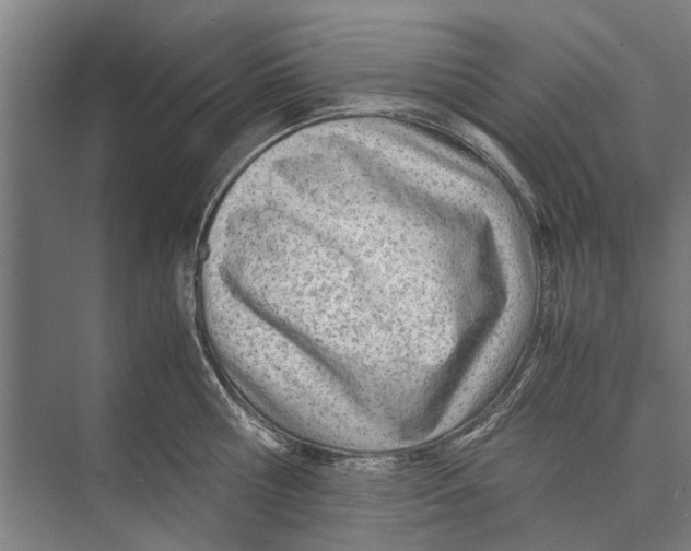 X0000071950810200608041551