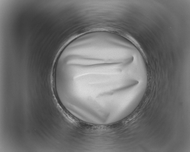 X0000071950811200608041551