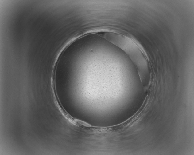 X0000071950813200608041551