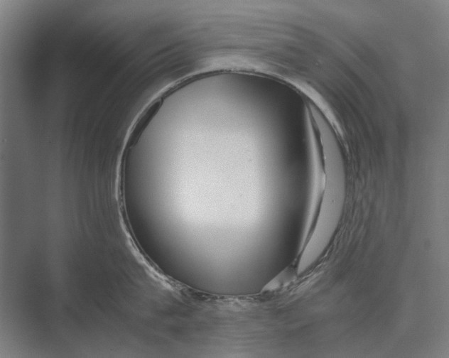 X0000071950815200608041551