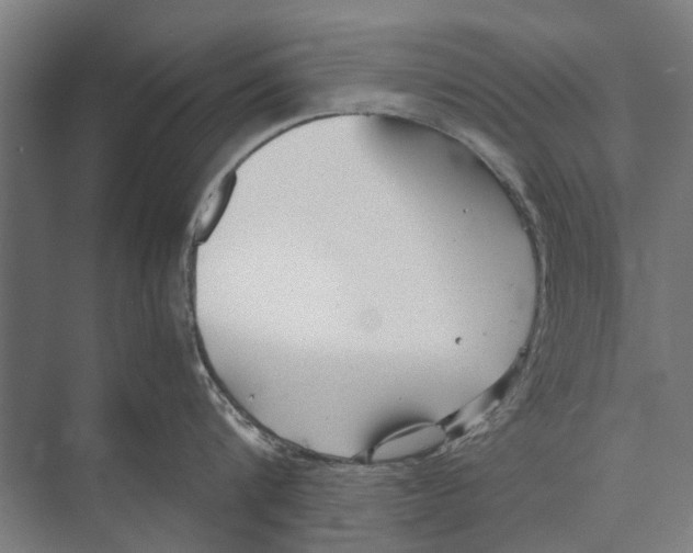 X0000071950816200608041551