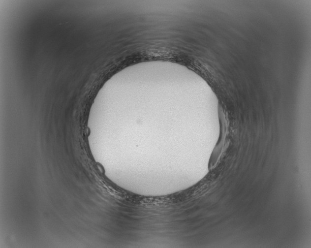 X0000071950817200608041551