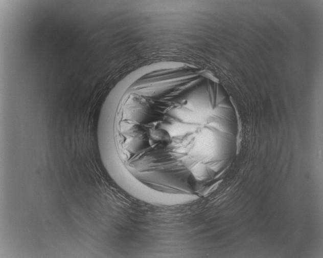 X0000071950818200608041551