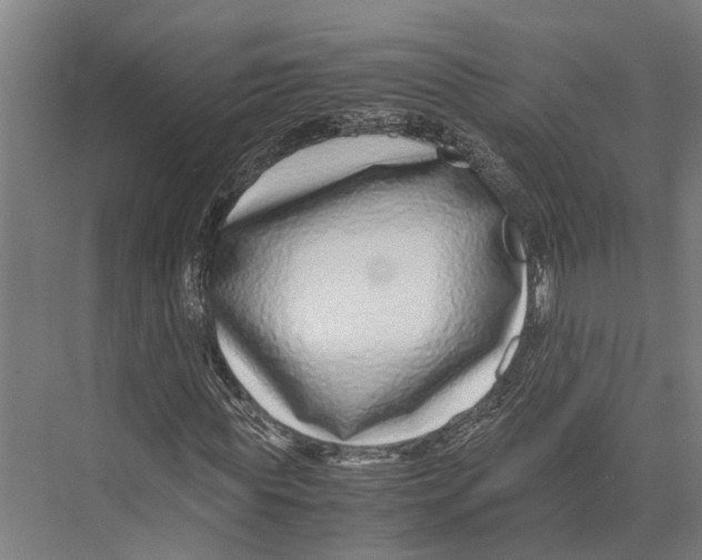 X0000071950819200608041551