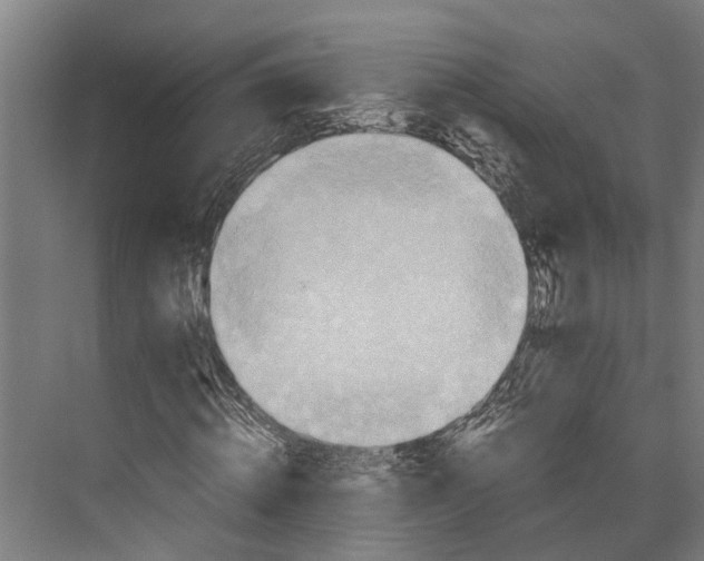 X0000071950820200608041551