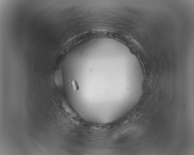 X0000071950821200608041551