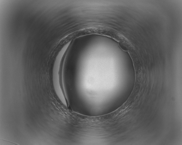 X0000071950822200608041551