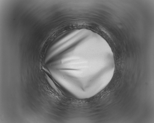 X0000071950823200608041551