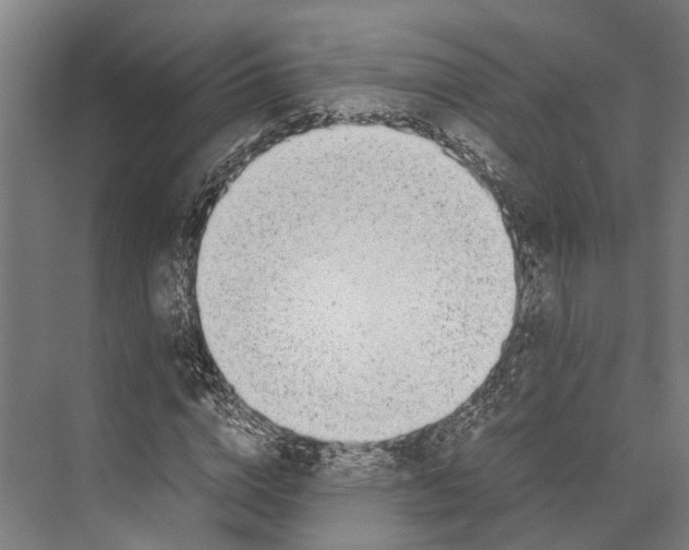 X0000071950824200608041551